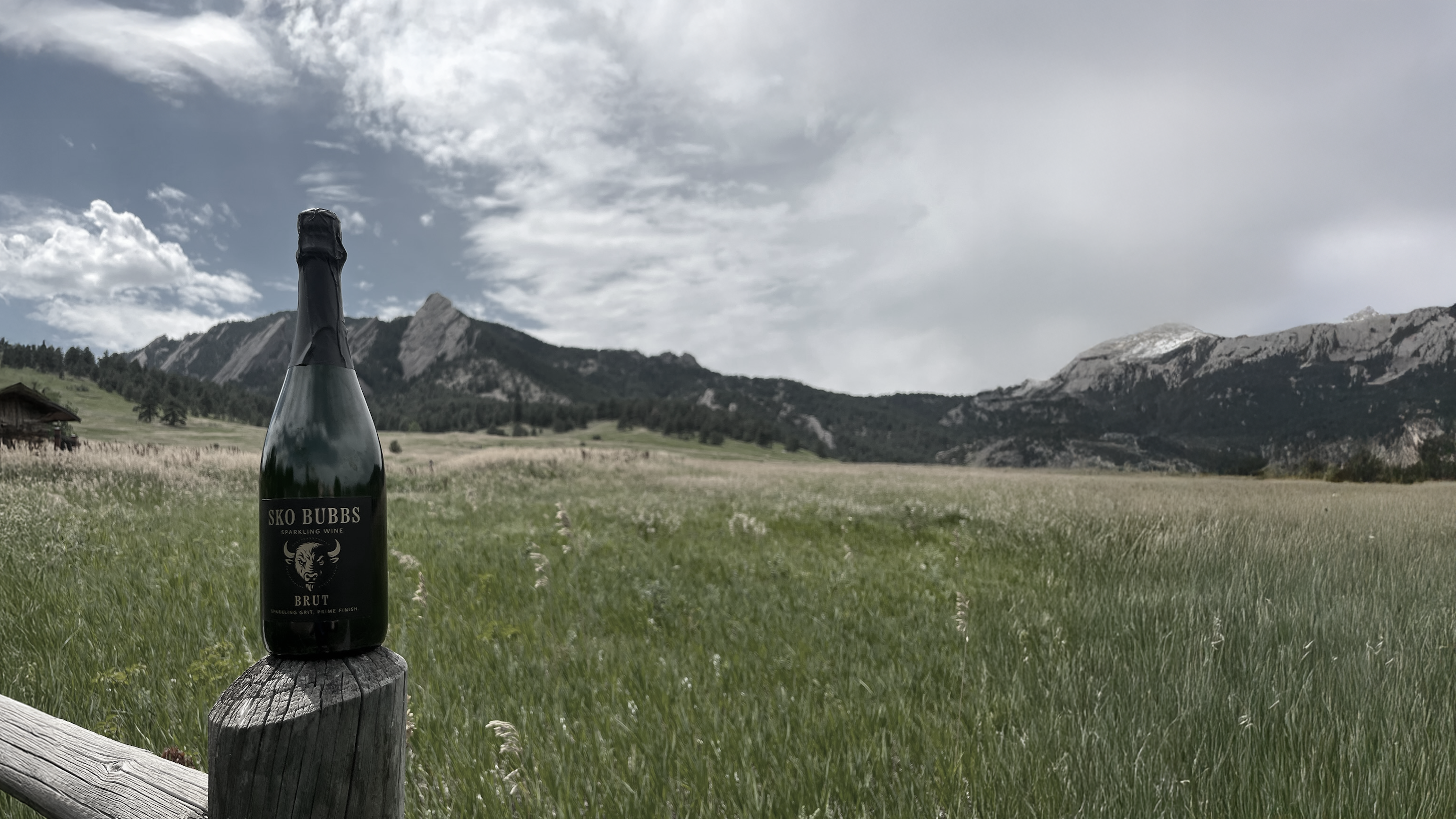 Bottle of SKO BUBBS on a wooden post with a scenic background of mountains and open field.