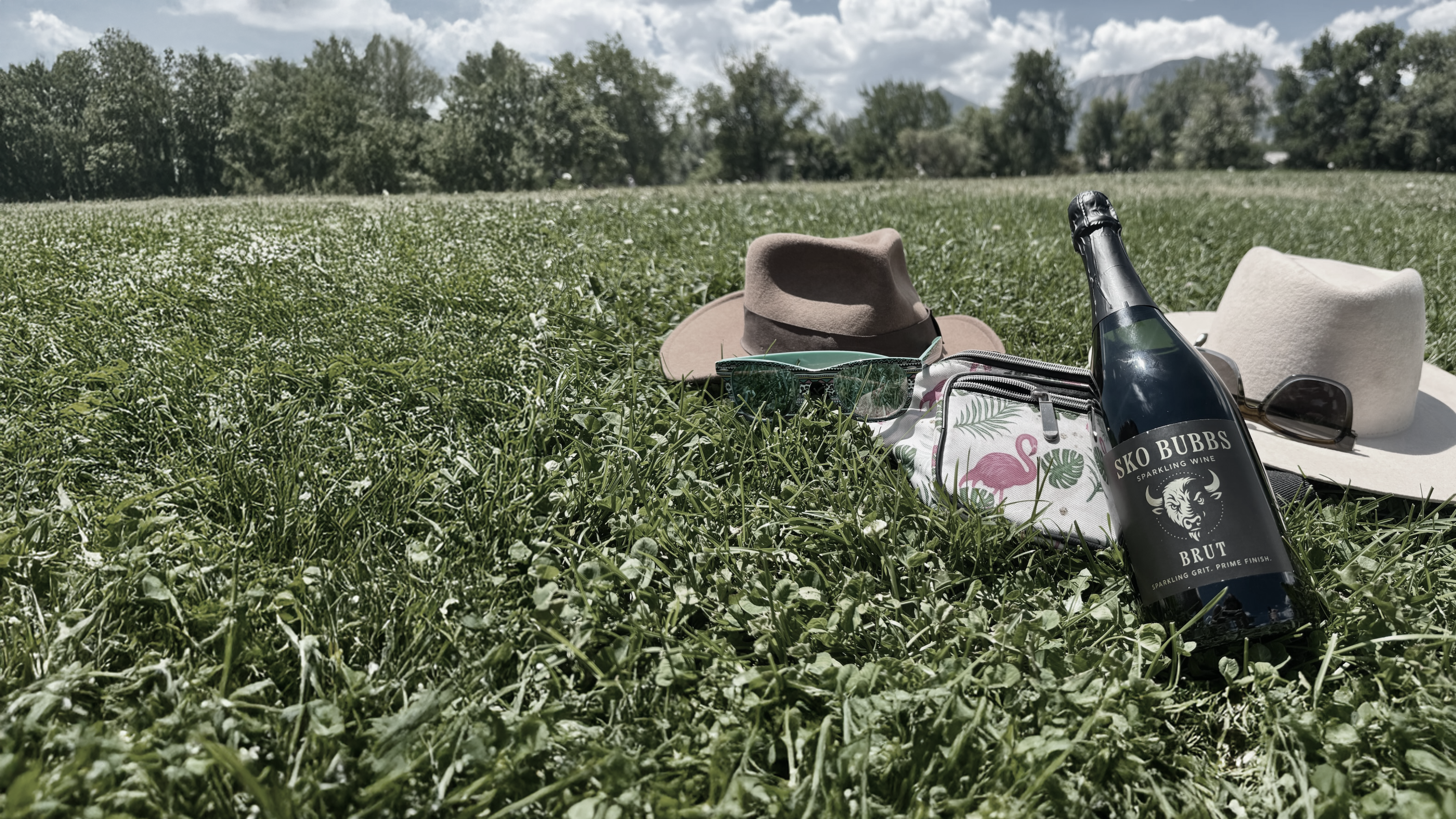 Bottle of SKO BUBBS and picnic items on grass with hats and a bag
